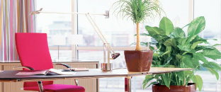 OFFICE PLANT HIRE